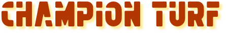 championturf