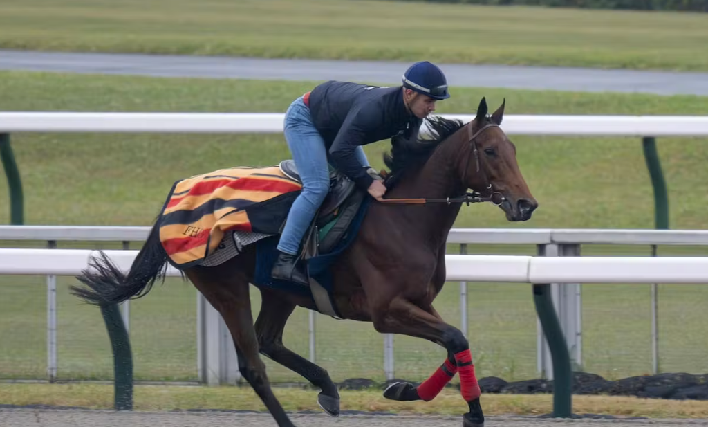 ChampionTurf